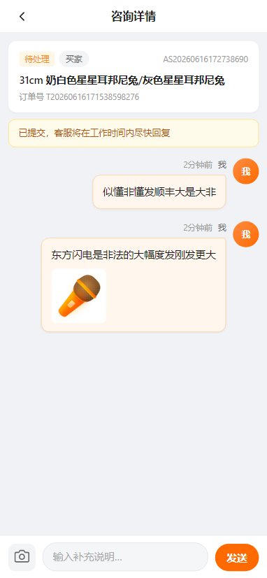 咨询详情-买家